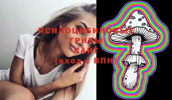 прущая мука Аркадак