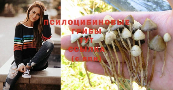 экстази Арсеньев