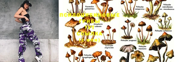mdma Красноперекопск