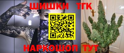 Альфа ПВП Новозыбков