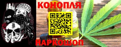 Альфа ПВП Новозыбков