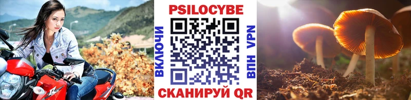 Псилоцибиновые грибы мицелий  Усть-Джегута 