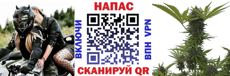 Канабис план  купить закладку  Усть-Джегута 